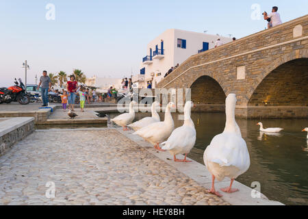 Paros, Griechenland 5. August 2016. Genießen Sie ihre Sommerferien in lokalen Dorf Naoussa auf Paros beobachten die weißen Menschen Stockfoto