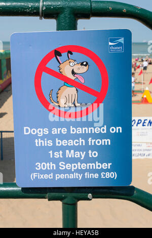 "Hunde sind verboten" Schild an Margate Beach, Margate, Kent, England, Großbritannien Stockfoto