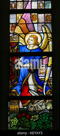 Glasmalerei-Fenster Darstellung eines Engels in der Kathedrale St. Bavo in Gent, Flandern, Belgien. Stockfoto