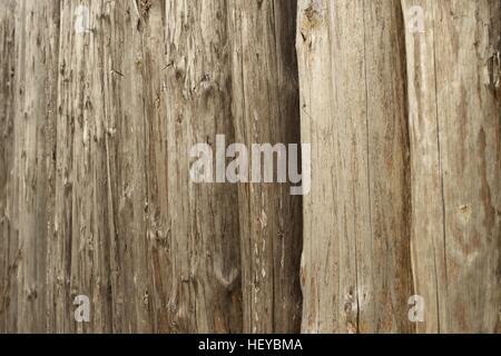 Holzpfähle auf einem Hintergrund Herbstwald Stockfoto