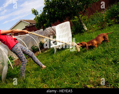 Mädchen spielt mit einem Hund auf einem grünen Rasen im Garten Stockfoto