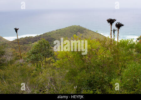 Gouverneur Spiel Lookout - Lilyvale, New South Wales, Australien Stockfoto