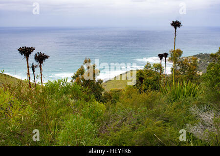 Gouverneur Spiel Lookout - Lilyvale, New South Wales, Australien Stockfoto