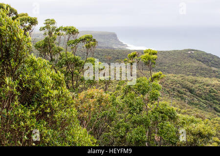 Gouverneur Spiel Lookout - Lilyvale, New South Wales, Australien Stockfoto