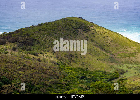 Gouverneur Spiel Lookout - Lilyvale, New South Wales, Australien Stockfoto