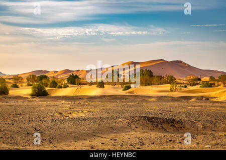 Den Rand der Sahara im Südwesten von Marokko Stockfoto