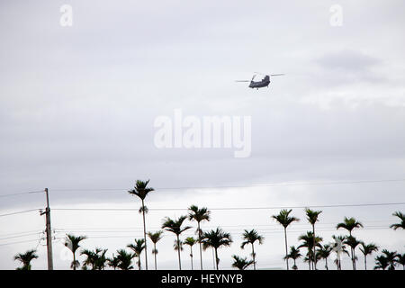 Hubschrauber fliegen über der Baumgrenze. Stockfoto