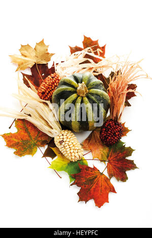 Maiskolben und Squash mit bunten Herbst Blätter Stockfoto