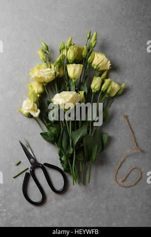 Gelbe Eustoma auf grauem Hintergrund, Blumen Stockfoto