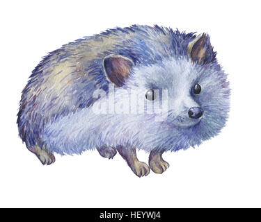 Stacheligen Igel. Handgemaltes Aquarell Abbildung isoliert auf weißem Hintergrund. Stockfoto