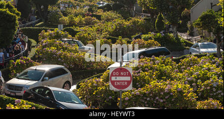 Autos fahren auf Lombard Street in San Francisco Stockfoto