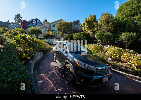 Autos fahren auf Lombard Street in San Francisco Stockfoto