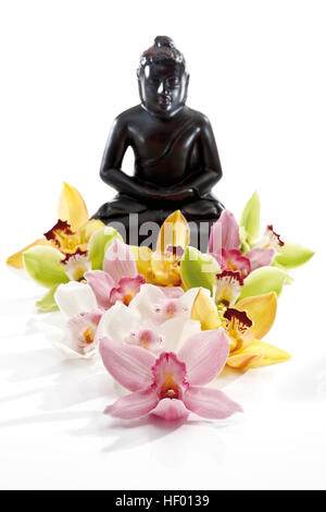 Bunte Orchideen Blüten (Orchidaceae) vor einer schwarzen Buddhastatue Stockfoto