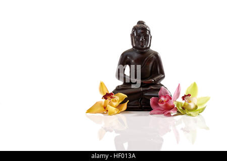 Drei Orchideen Blüten (Orchidaceae) vor einer schwarzen Buddhastatue Stockfoto