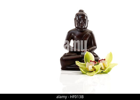 Zwei Orchideen Blüten (Orchidaceae) vor einer schwarzen Buddhastatue Stockfoto