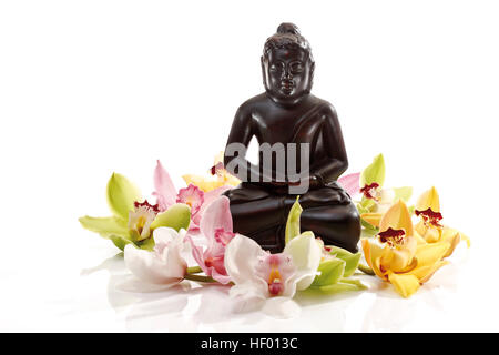 Bunte Orchideen Blüten (Orchidaceae) vor einer schwarzen Buddhastatue Stockfoto