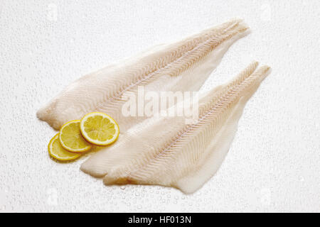 Atlantische Heilbutt Filets, roh (Hippoglossus Hippoglossus) Stockfoto
