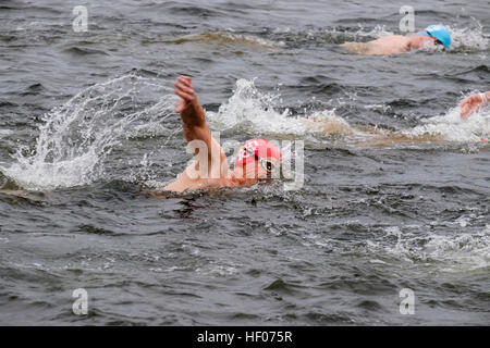 Mitglieder der Serpentine Swimming Club in der jährlichen Weihnachten teilnehmen, Schwimmen, Hyde Park, London, UK Stockfoto