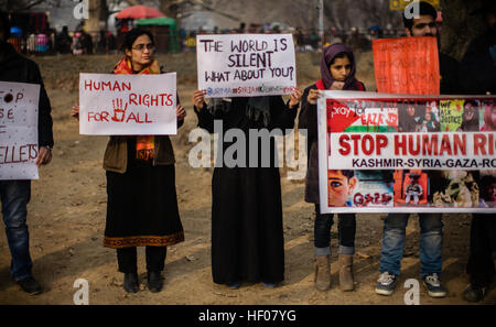 25. Dezember 2016 - Srinagar, Jammu und Kaschmir, Indien - Kashmiri Studenten halten Plakate bei einer Protestkundgebung gegen die Tötung von Zivilisten weltweit am 25. Dezember 2016 in Srinagar, der Sommerhauptstadt des indischen verabreicht Kaschmir, Indien. Dutzende von Kashmiri Studenten inszeniert eine Sitzstreik Protestdemonstration in indischen Aldenhoff Kaschmir, gegen die Angriffe auf Zivilisten in Aleppo, Kaschmir, Irak, Burma und Jemen Demonstrationen gegen Zivilisten getötet Ausbreitung, rund um den Globus, in der Hoffnung auf Aufforderung der internationalen Gemeinschaft zu diesen Ländern zu helfen wo der Civi Stockfoto