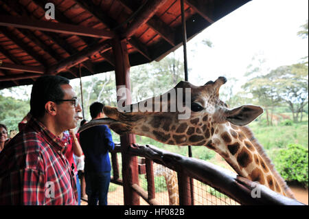 Nairobi, Kenia. 25. Dezember 2016. Ein Tourist speist eine Giraffe im Giraffe Center in Nairobi, der Hauptstadt Kenias, 25. Dezember 2016. Giraffen Center, gegründet 1979, ist Teil einer Bewegung, die versucht, Giraffen, mit einige Giraffen Arten derzeit in Gefahr zu retten. © Li Baishun/Xinhua/Alamy Live-Nachrichten Stockfoto