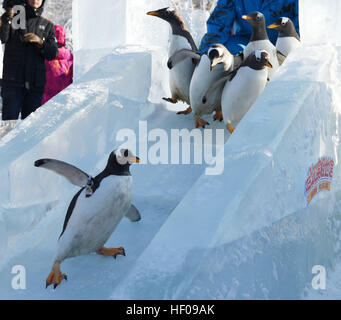 Harbin, China Provinz Heilongjiang. 26. Dezember 2016. Pinguine aus Harbin Polarland versuchen eine Eis-Folie im Freien in Harbin, der Hauptstadt des nordöstlichen Chinas Provinz Heilongjiang, 26. Dezember 2016. © Wang Jianwei/Xinhua/Alamy Live-Nachrichten Stockfoto