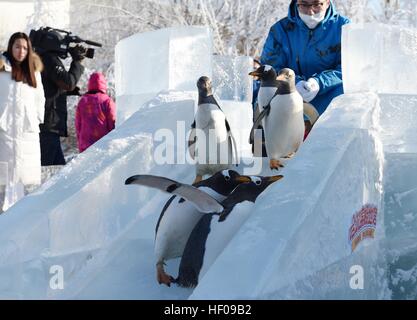 Harbin, China Provinz Heilongjiang. 26. Dezember 2016. Pinguine aus Harbin Polarland versuchen eine Eis-Folie im Freien in Harbin, der Hauptstadt des nordöstlichen Chinas Provinz Heilongjiang, 26. Dezember 2016. © Wang Jianwei/Xinhua/Alamy Live-Nachrichten Stockfoto