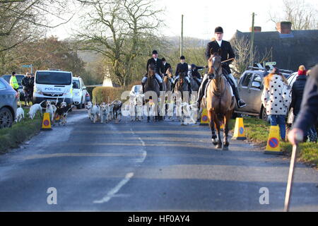 Brent Pelham, Buntingford, Hertfordshire. VEREINIGTES KÖNIGREICH. 26. Dezember 2016. Die Jagdhunde und Reiter kommen bei der Treffpunkt. Puckeridge traditionellen Boxing Day Jagd. Penelope Barritt/Alamy Live-Nachrichten Stockfoto