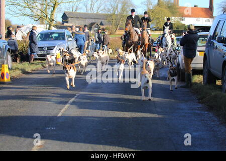 Brent Pelham, Buntingford, Hertfordshire. VEREINIGTES KÖNIGREICH. 26. Dezember 2016. Die Jagdhunde und Fahrer für den Beginn der Jagd zu verlassen. Puckeridge traditionellen Boxing Day Jagd. Penelope Barritt/Alamy Live-Nachrichten Stockfoto