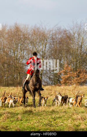 Der traditionelle Weihnachtsfeiertag trifft sich in Horwich in der Nähe von Bolton, Lancashire. 26th. Dezember 2016: Rivington, wo sich Pferde und Reiter zur alljährlichen Boxing Day Hunt treffen. Die jährliche Veranstaltung der Holcombe Hunt wurde von Hunderten von Menschen bei kalten, sonnigen Bedingungen besucht, die gekommen waren, um das traditionelle Spektakel zu genießen. Stockfoto