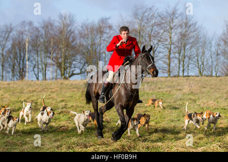 Der traditionelle Weihnachtsfeiertag trifft sich in Horwich in der Nähe von Bolton, Lancashire. 26th. Dezember 2016: Rivington, wo sich Pferde und Reiter zur alljährlichen Boxing Day Hunt treffen. Die jährliche Veranstaltung der Holcombe Hunt wurde von Hunderten von Menschen bei kalten, sonnigen Bedingungen besucht, die gekommen waren, um das traditionelle Spektakel zu genießen. Stockfoto