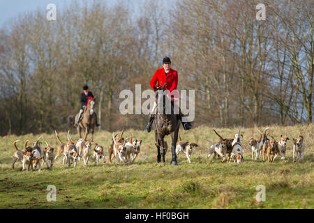 Der traditionelle Weihnachtsfeiertag trifft sich in Horwich in der Nähe von Bolton, Lancashire. 26th. Dezember 2016: Rivington, wo sich Pferde und Reiter zur alljährlichen Boxing Day Hunt treffen. Die jährliche Veranstaltung der Holcombe Hunt wurde von Hunderten von Menschen bei kalten, sonnigen Bedingungen besucht, die gekommen waren, um das traditionelle Spektakel zu genießen. Stockfoto