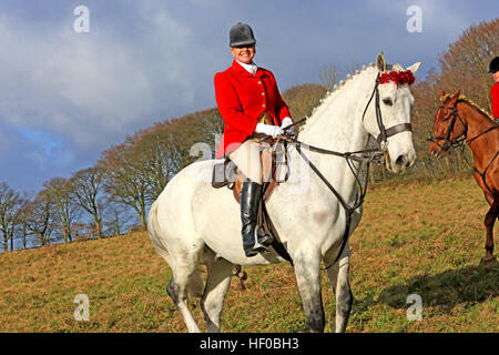 Rivington, UK. 26. Dezember 2016. Eine Reiterin trägt eine rote Jacke auf einem weißen Pferd auf der Boxing Day Jagd, Rivington, 26. Dezember 2016 © Barbara Koch/Alamy Live-Nachrichten Stockfoto