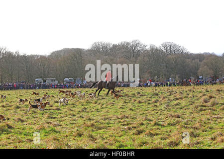 Rivington, UK. 26. Dezember 2016. Der Boxing Day Jagd in Rivington, 26. Dezember 2016 © Barbara Koch/Alamy Live-Nachrichten Stockfoto