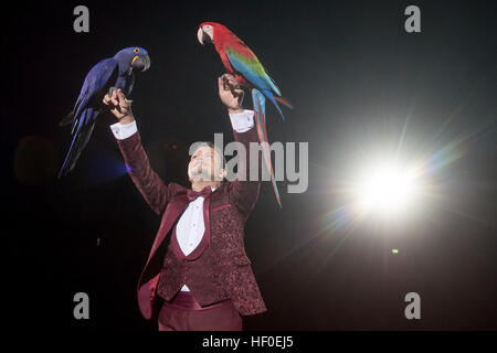 Tiertrainer Alessio führt während der Premiere des Circus Krone Winterprogramm in München, Deutschland, 25. Dezember 2016 mit Papageien. Foto: Tobias Hase/dpa Stockfoto