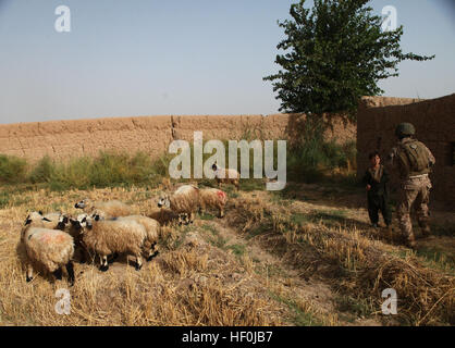 MARDSCHA DISTRICT, Provinz Helmand, Afghanistan – spricht ein Dolmetscher ein kleiner Junge kurz vor einem Feuergefecht zwischen Aufständischen und die Marines der 2. Mannschaft, 4. Platoon, Charlie Kompanie, 1. Bataillon, 6. Marine Regiment, in dem Polpazai Dorf hier, Aug. 11. Die Marines von Charlie Co., 1/6, engagiert Aufständischen in einem Feuergefecht während der Durchführung einer Volkszählung Patrouille im Bereich. Schieben durch den Schatten des Aufstands DVIDS446600 Stockfoto