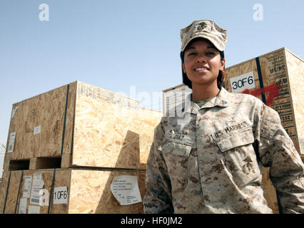 Ein eingesetzter Marine dient als Lagerleiter des Hauptquartierbataillons, der 2. Marine-Division in Afghanistan, verwaltet Ausrüstung und Vorräte und sammelt dabei Berufserfahrung. Stockfoto