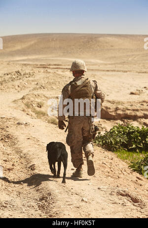 CPL. Mackenzie Richards, ein militärischer Arbeitshund Handler mit Mobile Assault Platoon 4 Waffen Firma, 1. Bataillon, 25. Marineregiment und gebürtig aus Providence, RI, Spaziergänge mit John, ein Sprengstoff Detektion Hund während einer Patrouille im südlichen Teil des Bezirks Washir, Provinz Helmand, Okt. 2. Die Marines Waffen Co. haben wurde sich vertraut zu machen mit der Südgrenze des Task Force Belleau Wood Gefechtsraum im zentralen Helmand seit seiner Ankunft in Afghanistan im September. Auf Patrouille mit neuen EnglandE28099s eigene 111002-M-PH073-174 Stockfoto