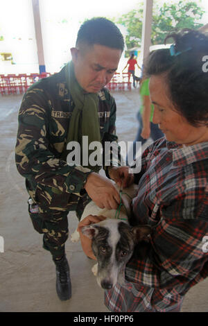 Bewaffnete Kräfte der Philippinen Medical Corps Major Galanad L. Trabado injiziert einen Anti-Tollwut-Impfstoff in ein Hund während eines bürgerlichen tierärztliche Hilfe-Projekts an der San Pedro Elementary School, Puerto Princesa, Palawan, Philippinen, 13. April 2012. Philippinische und US-Militärangehörige sind mehrere VETCAPs in Palawan während der Übung Balikatan 2012, eine jährliche bilaterale training Übung zur Verbesserung der Republik der Philippinen und US-Militär zwingen Interoperabilität bei der Planung, Kontingenz, humanitärer Hilfe und Katastrophenschutz Hilfsaktionen zur Durchführung. Übung-Bali Stockfoto