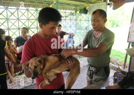 Puerto Princesa City, Palawan, Republik der Philippinen - bewaffnete Kräfte der Philippinen Tierarzt Corps techn. Sgt Rodelio B. Mariano injiziert einen Anti-Tollwut-Impfstoff in ein Hund während eines bürgerlichen tierärztliche Hilfe-Projektes (VETCAP) am Purok Paglaum 1, Barangay Mangingisda, Puerto Princesa, Palawan, Philippinen am 18. April 2012. Philippinische und US-Militärangehörige sind mehrere VETCAPs in Palawan während der Übung Balikatan 2012 (BK12), eine jährliche bilaterale training Übung zur Verbesserung der Republik der Philippinen und US-Militär zwingen Interoperabilität zur Durchführung Stockfoto