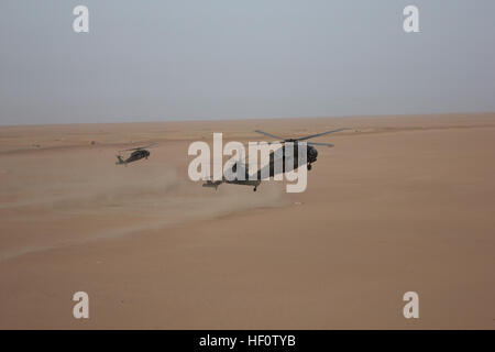 Black Hawk-Hubschrauber der 108. Assault Helicopter Battalion Land mit Firma A, 4. Bataillon 118. Infanterie-Regiment Truppen während der Luft-Angriff-Teil einer Botschaft von Verteidigung und Evakuierung Übung im Bereich 5 in der Nähe von Camp Buehring am 27. Mai. Soldaten des 4. Bataillons Unternehmen C führte die gleiche Übung drei Tage später. Während der Übung, die Infanteriekompanien auch koordiniert mit dem 108. Angriff Hubschrauber-Bataillon für schnellen Nachschub und Firma C, 1. General Support Aviation Battalion, simuliert 126. Aviation Regiment zu evakuieren verwundete. Das 4. Bataillon belon Stockfoto