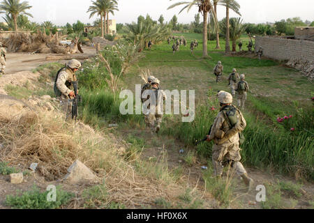 050602-M-3301A-003 Fallujah, Irak (2. Juni 2005) - Marines des sechsten Marine Regiment, erste Bataillon, Charlie Kompanie patrouillieren die Felder im Bereich des Asragiyah auf der Suche nach Waffen, Caches und Aufstand. Diese Patrouillen sind Teil der Aufstandsbekämpfung Operationen zur Unterstützung der irakischen Sicherheitskräfte, die entworfen sind, zu isolieren und die Opposition zu neutralisieren.  Bemühungen durch diese Marines werden die Weiterentwicklung einer sicheren Regierung unterstützen, die irakische Eigenständigkeit und Selbstverwaltung ermöglicht. US Marine Corps Foto von CPL. Robert R. Attebury (freigegeben) US Navy 050602-M-3301A-003 Marines Stockfoto