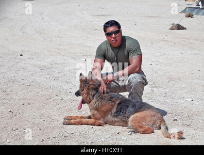 CPL. Fidel Rodriguez, ein militärischer Arbeitshund Handler mit 1. Law Enforcement Bataillon, ich Marine Expeditionary Force, Haustiere Partnerin Gebrauchshund, Aron, während große Skala Übung-1, Javelin Schub 2012 Juli 11. Militärische Arbeitshunde bewahren kühlen Kopf während Javelin Schub 2012 120711-M-PF875-016 Stockfoto