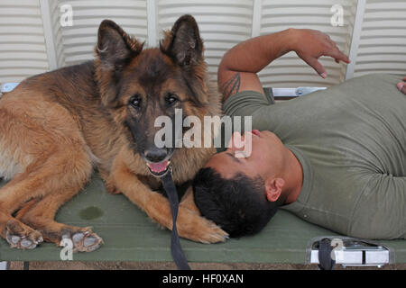 Militärischer Arbeitshund, Aron, eine 6 Jahre alte deutsche Sheppard und eine Bekämpfung Spürhund, nimmt eine Auszeit mit seinem Führer, CPL. Fidel Rodriguez aus 1. Law Enforcement Bataillon, ich Marine Expeditionary Force während der großen Skala Übung-1, Javelin Schub 2012, 12 Juli. Rodriguez, 22, ist aus Del Rio, Texas. 1. Law Enforcement Bataillon 120712-M-PF875-002 Stockfoto