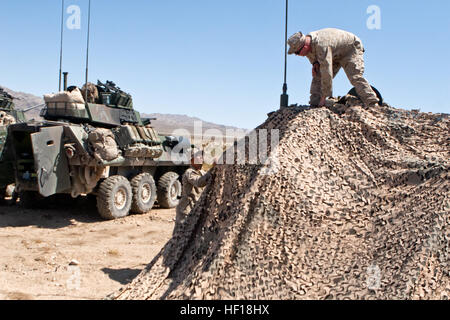 U.S. Marine Corps Lance Cpl. Daniel Amores, unten links und Lance Cpl. Anthony Gajewski einrichten beide Light Armored Vehicle-Fahrer mit Apache Company, 3. Light Armored Reconnaissance Battalion, Tarnnetze für ein Command Operations Center während der Übung Wüste KRUMMSÄBEL an Bord der Marine Corps Air Ground Combat Center Twentynine Palms, Kalifornien, 28. April 2013. Übung-Wüste KRUMMSÄBEL wurde durchgeführt, um 1. Marineabteilung zu stützen ihre Fähigkeit zur Planung und Ausführung von Befehl und Steuerungsfunktionen in offensiven und defensiven Szenarien zu ermöglichen. (Offizielle US Marine Corps Foto von Sgt. Michael Stockfoto