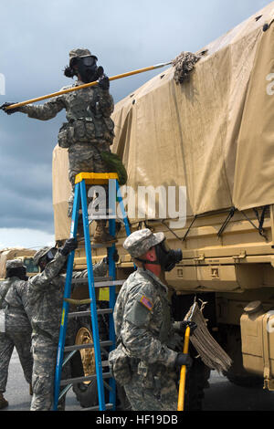 US-Armeesoldaten aus der 108. Chemical Company, S.C Army National Guard aus North Charleston, SC, verwenden Sie Teamarbeit, um Lastwagen zu reinigen, wie sie durch eine Fahrzeug-Dekontamination-Linie während einer Übung zur Unterstützung von glühender Sentry, 19. Mai 2013 kommen. Die S.C.-Nationalgarde partizipiert an einer großen NORAD und USNORTHCOM Übung namens glühender Sentry, 17.-21. Mai 2013.  Es geht um ein Szenario eines Hurrikans, die South Carolina Küste, erfordert mehr als 1.500 Mitglieder der Nationalgarde S.C. Praxis Katastrophe Gegenmaßnahmen und Koordinationsverfahren auffällig.  (US-Armee Natio Stockfoto