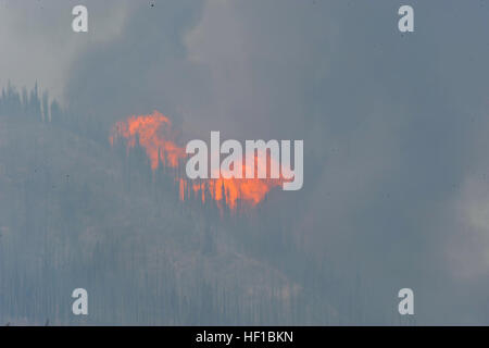 Soldaten der Colorado National Guard und Airmen unterstützen die lokalen Behörden bei der Reaktion auf den West Fork Complex in der Nähe von Creede und bieten Sicherheit, GPS-Karten, Bilder und Schutz für Strukturen im Rio Grande National Forest. Stockfoto
