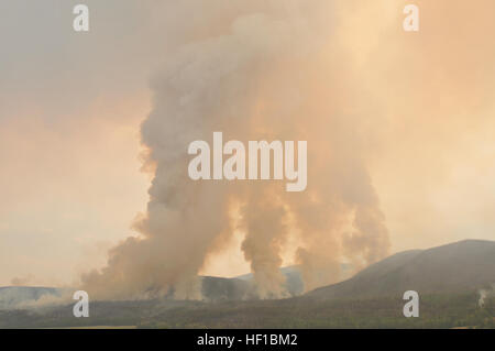 Mitarbeiter der Colorado National Guard unterstützen die lokalen Behörden während des West Fork Complex Feuers im Rio Grande National Forest und bieten Sicherheit, Kartierung, GPS-Unterstützung und Strukturschutz. Stockfoto