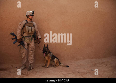 U.S. Marine Corps Lance Cpl. Joseph Nunez aus Burbank, Kalifornien, und Viky, eine improvisierte Sprengkörper Erkennung Hund, beide auf Fox Company, 2. Bataillon, 2. Marineregiment (2/2) Rest ein Moment nach der Suche einer Verbindung nach versteckten Bedrohungen während der Durchführung der Aufstandsbekämpfung in der Provinz Helmand, Afghanistan, 17. Juli 2013 gelegt. Die Marines von Fox Co., 2/2 durchgeführten Operationen, aufrührerische Tätigkeit abzuhalten eine Präsenz und menschlichen Intelligenz zu sammeln. (Foto: U.S. Marine Corps CPL. Alejandro Pena/freigegeben) US-Marines mit Fox Co., führen 2-2, Zähler Aufstand Betriebs- Stockfoto