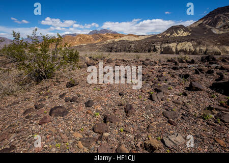 Wüste Landschaft, Blick von, Dante's View, Death Valley National Park, Death Valley, California, United States Stockfoto