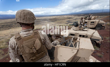 Marines mit Combined Anti-Panzer Mannschaft 1 Bravo, Waffen Company, 2. Bataillon, 3. Marine Regiment, Feuer schwere Maschinengewehre von einer Unterstützung durch Feuer-Stellung zur Unterstützung einen Firmenebene mechanisierten live-Feuer-Angriff, dass Echo Co. 2/3 an Pohakuloa Trainingsbereich, Hawaii, 19. Juli 2013 durchgeführt. Der Trainingsbetrieb war einer von vielen im Rahmen der Übung Lava Viper durchgeführt. Lava-Viper ist eine Bataillonsebene kombinierte Waffen-Übung verbessern Sie die Fähigkeiten von den Bodenkampf und Element Marines Teilnahme unterstützen sollen. (Foto: U.S. Marine Corps CPL. Matthew Callahan/freigegeben) Große CAATE28099s Bun Stockfoto